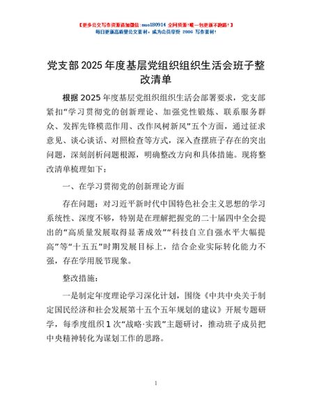 党支部2025年度基层党组织组织生活会班子整改清单