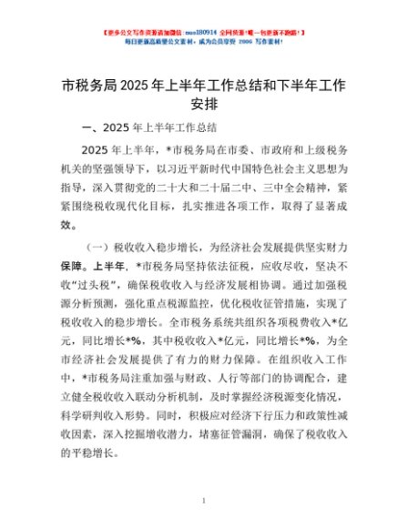 市税务局2025年上半年工作总结和下半年工作安排