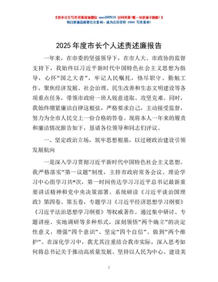 2025年度市长个人述责述廉报告