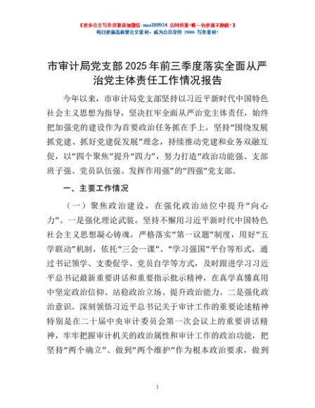市审计局党支部2025年前三季度落实全面从严治党主体责任工作情况报告
