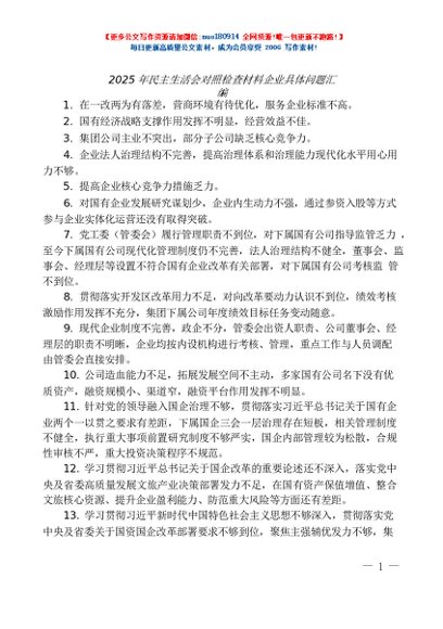第144期（23条）2025年民主生活会对照检查材料企业具体问题汇编