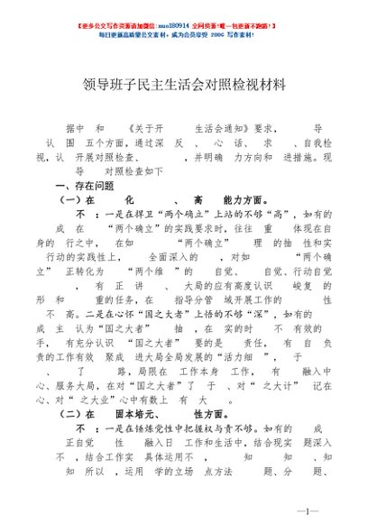 原创作品之一：2025年领导班子对照检查材料