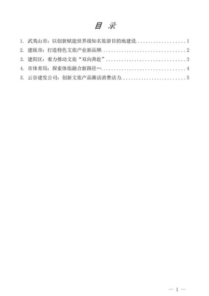 第1347期（5篇）2025年南平市文旅经济发展大会代表交流发言材料汇编