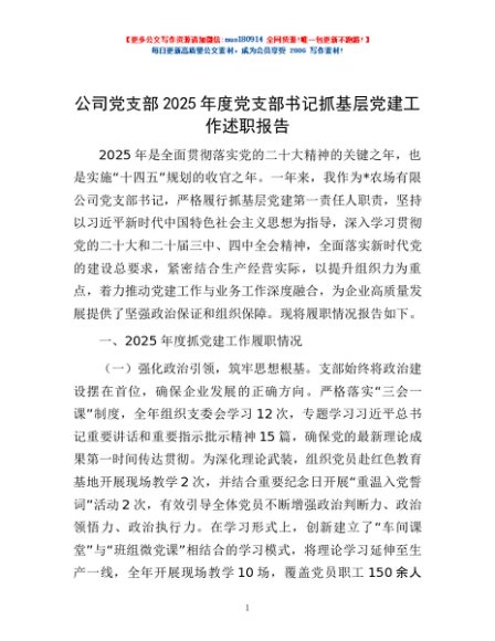 公司党支部2025年度党支部书记抓基层党建工作述职报告